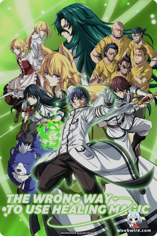 The Wrong Way to Use Healing Magic Poster