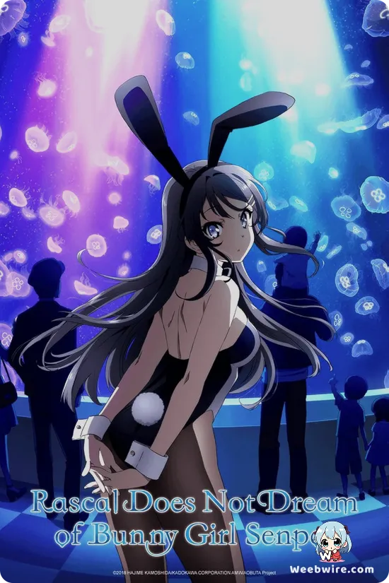 Bunny Girl Senpai Anime, Characters, & Similar Anime