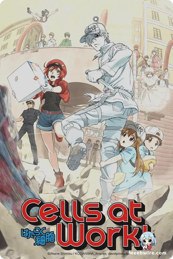 Cells at Work!! Poster