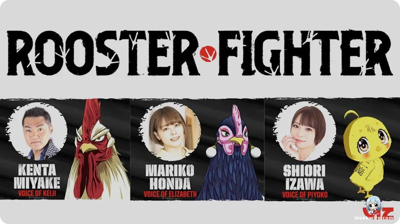 Rooster Fighter