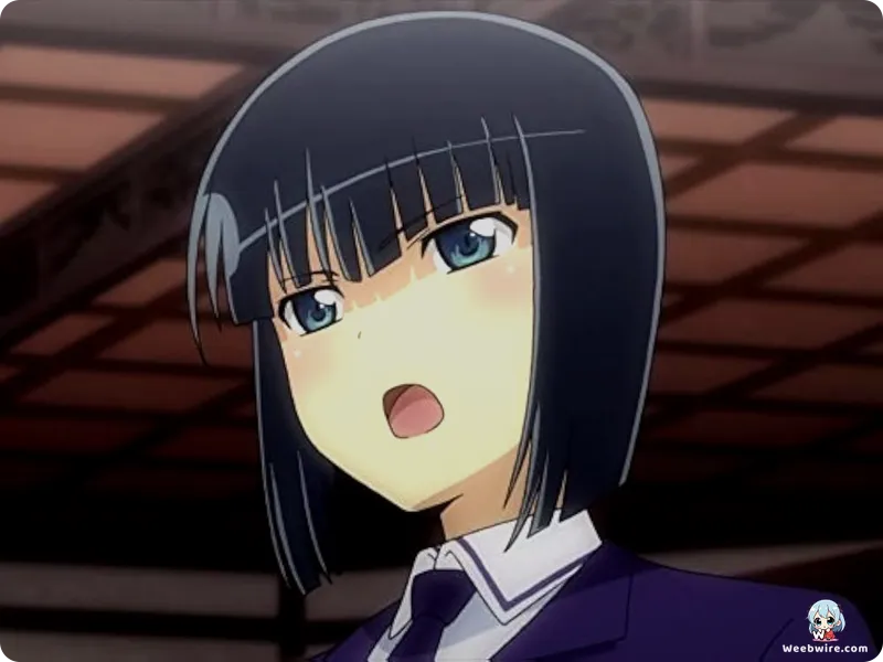 Senran Kagura: Ninja Flash!