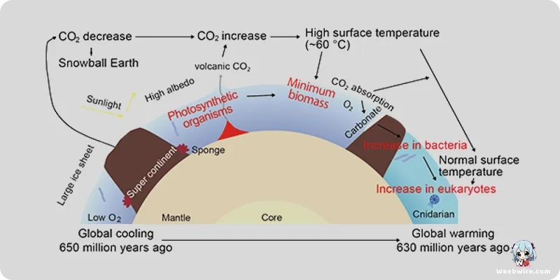 Snowball Earth