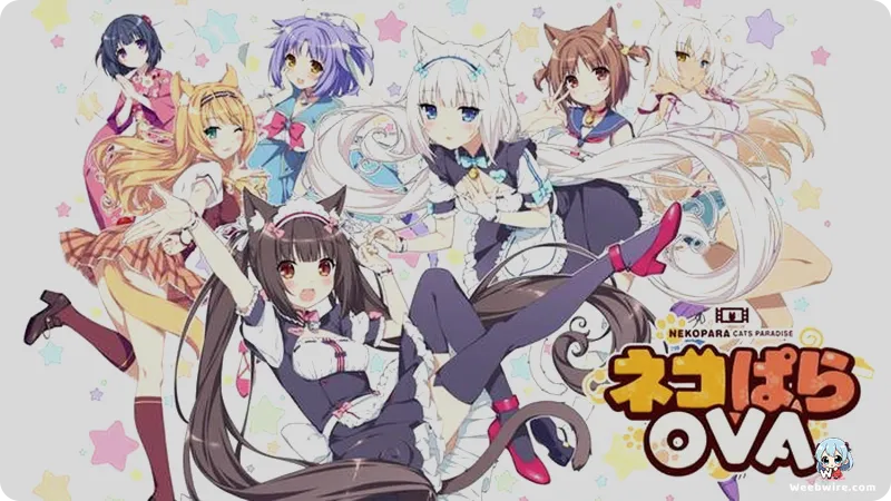 Nekopara: From Visual Novel to Anime Sensation | Weebwire