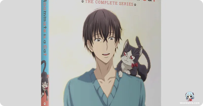 My Roommate is a Cat: A Unique Slice-of-Life Gem | Weebwire