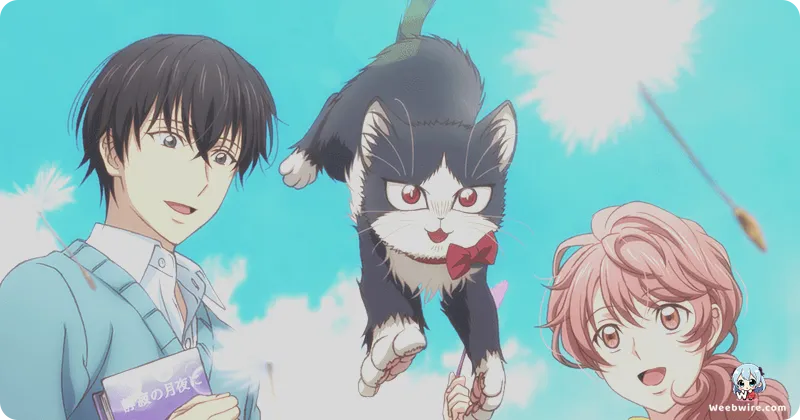 My Roommate is a Cat: A Unique Slice-of-Life Gem | Weebwire