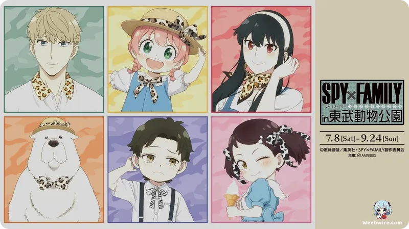 SPY x FAMILY Season 3 Teaser & New Director Revealed | Weebwire