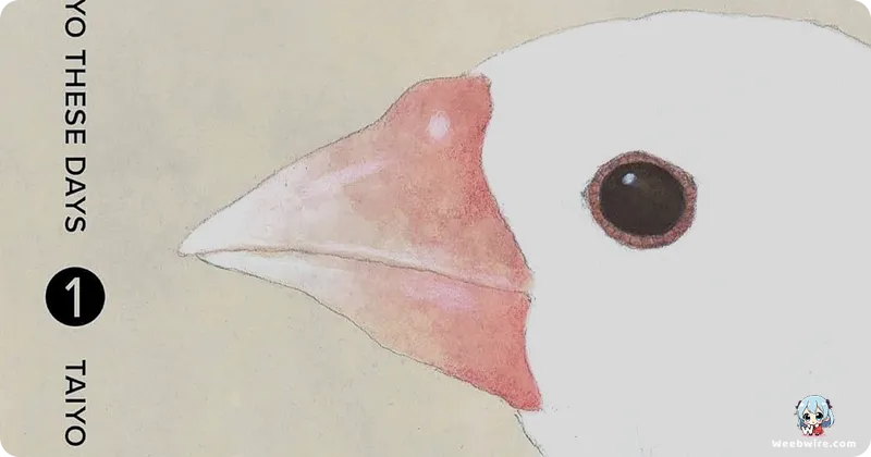 Matsumoto, Hirasawa Win Eisner Awards for Manga | Weebwire