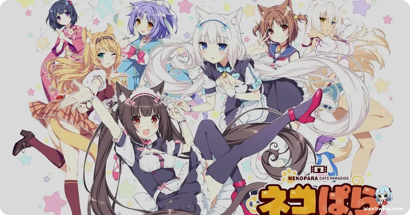 Nekopara: From Visual Novel to Beloved Anime | Weebwire