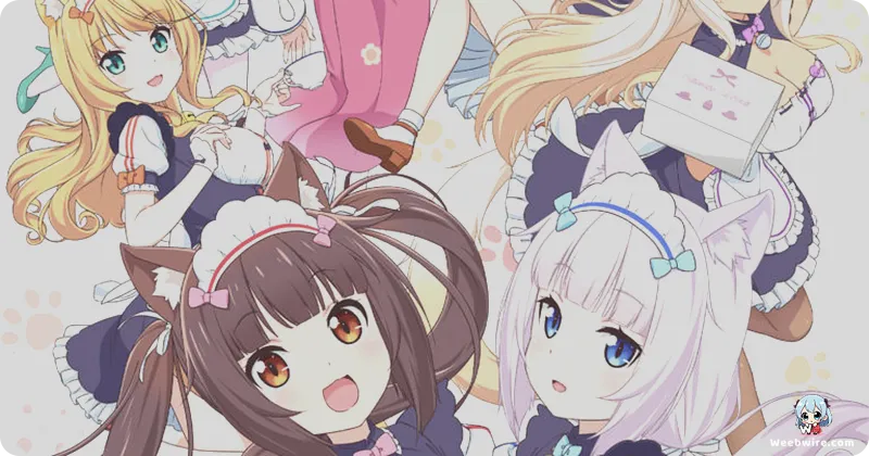 Nekopara: From Visual Novel to Beloved Anime | Weebwire