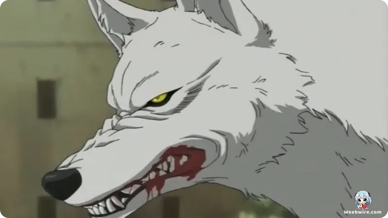 Wolf's Rain: Unveiling a Timeless Anime Masterpiece | Weebwire