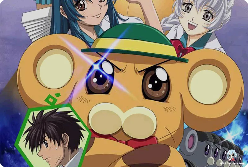 Full Metal Panic? Fumoffu: A Comedic Masterpiece | Weebwire