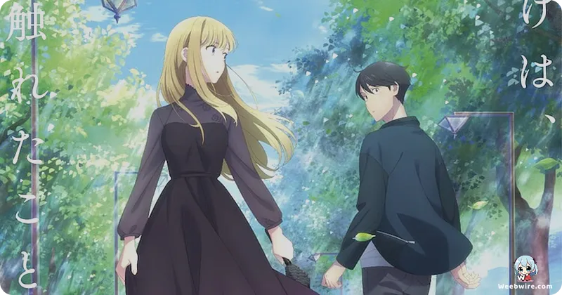 A Galaxy Next Door: Cosmic Romance & Daily Life | Weebwire