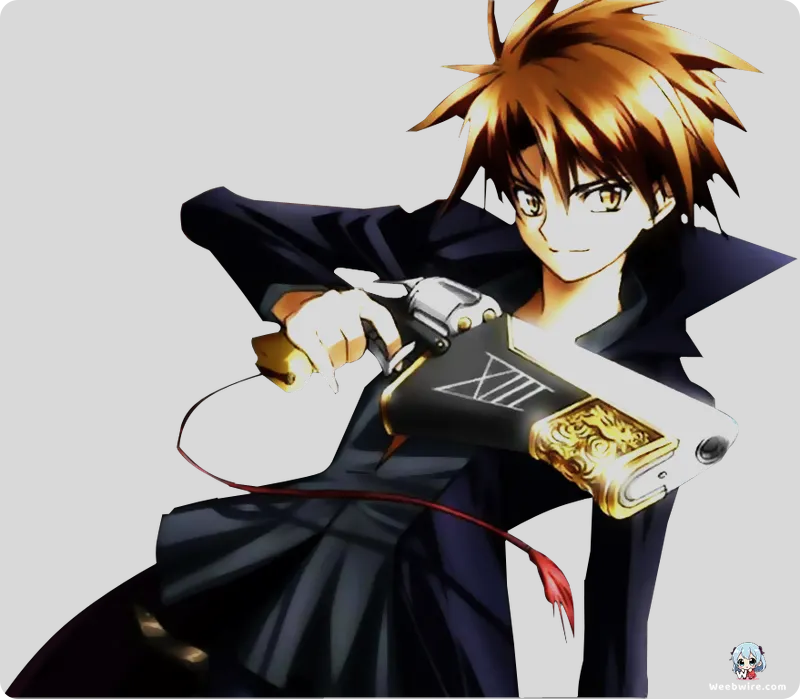 'Black Cat' Anime: A Deep Dive into Its Distinct Path | Weebwire