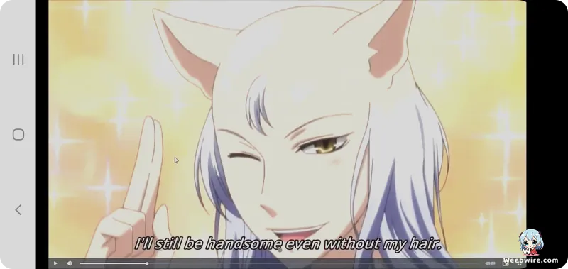 Gugure! Kokkuri-san: A Whimsical Supernatural Comedy | Weebwire