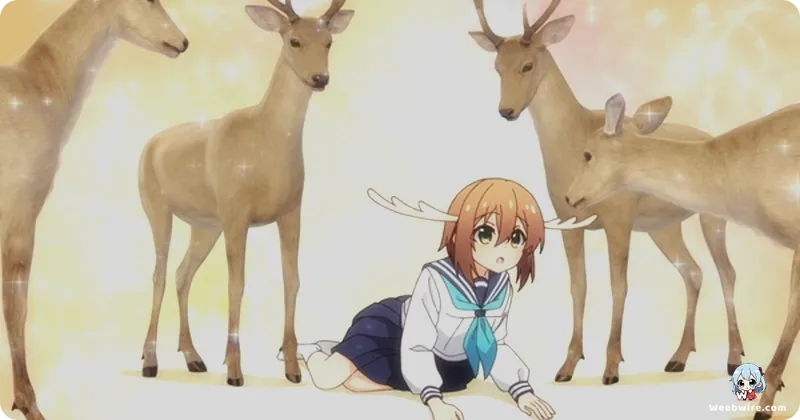 My Deer Friend Nokotan: A Deep Dive into its Unique Charm | Weebwire