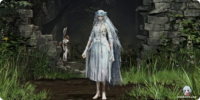 Elden Ring Nightreign 'Deep of Night' Mode Arrives Sept 2025 | Weebwire