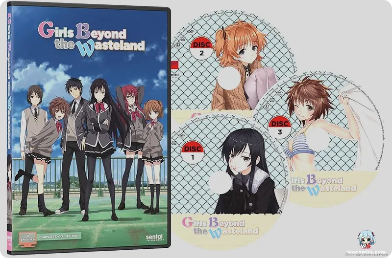Girls Beyond the Wasteland: Anime's Creative Journey | Weebwire