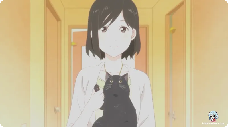 Makoto Shinkai's 'She and Her Cat': A Foundational Work | Weebwire