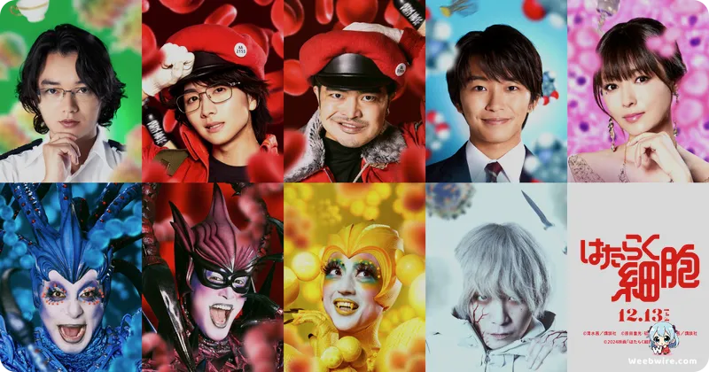 'Cells at Work!' Anime: Edutainment Masterpiece | Weebwire