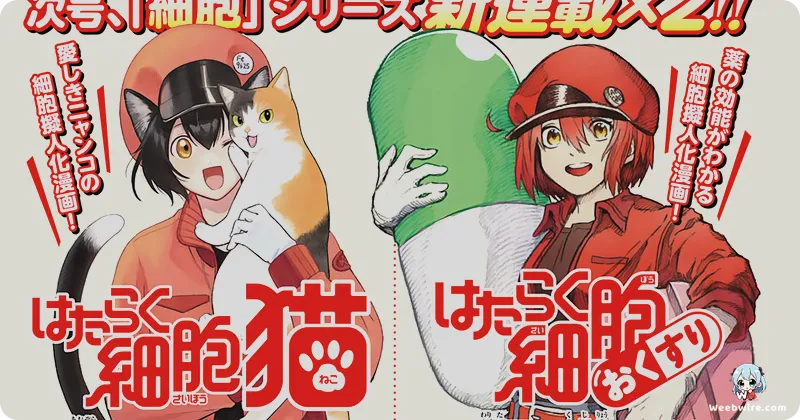 'Cells at Work!' Anime: Edutainment Masterpiece | Weebwire