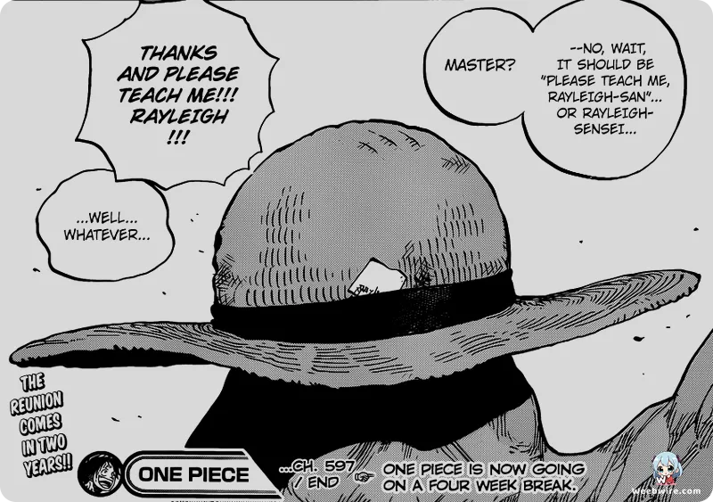 One Piece 3D2Y: Luffy's Post-Marineford Training Deep Dive | Weebwire