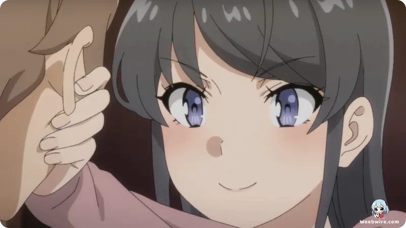 'Rascal Does Not Dream of Santa Claus' Anime Finale Set for 2025 | Weebwire