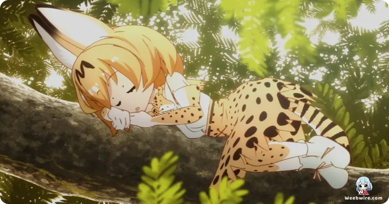 Kemono Friends: The Anime That Defied Expectations | Weebwire