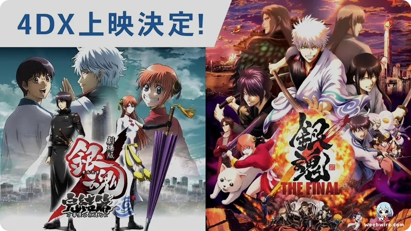 Gintama: Be Forever Yorozuya's Enduring Legacy | Weebwire