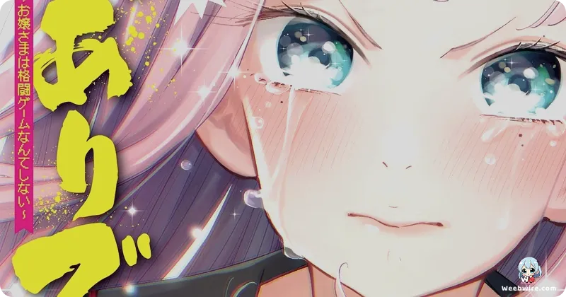 Young Ladies Don't Play Fighting Games Anime Delayed to 2026 | Weebwire