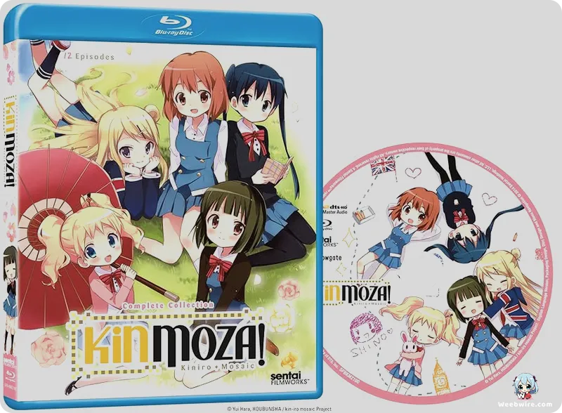 Hello!! Kin-iro Mosaic: A Golden Slice of Life Anime | Weebwire