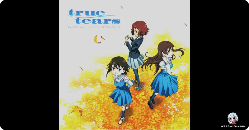 The True Tears Anime is Not Based on the Visual Novel | Weebwire