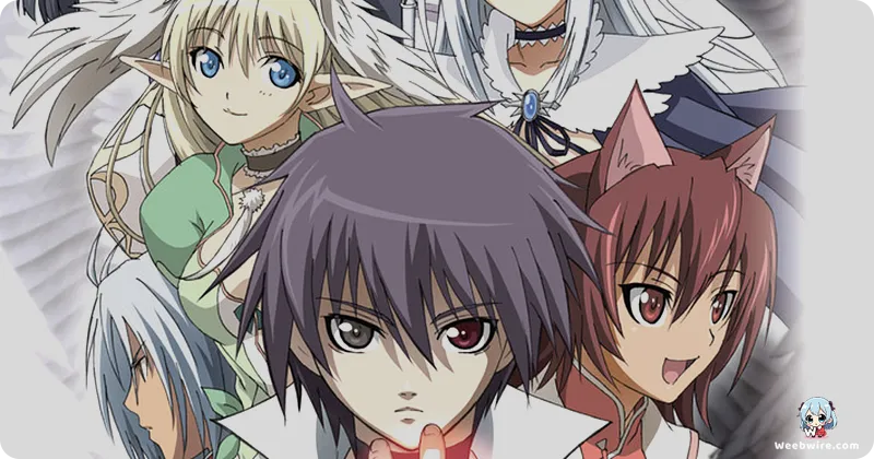 The True Tears Anime is Not Based on the Visual Novel | Weebwire