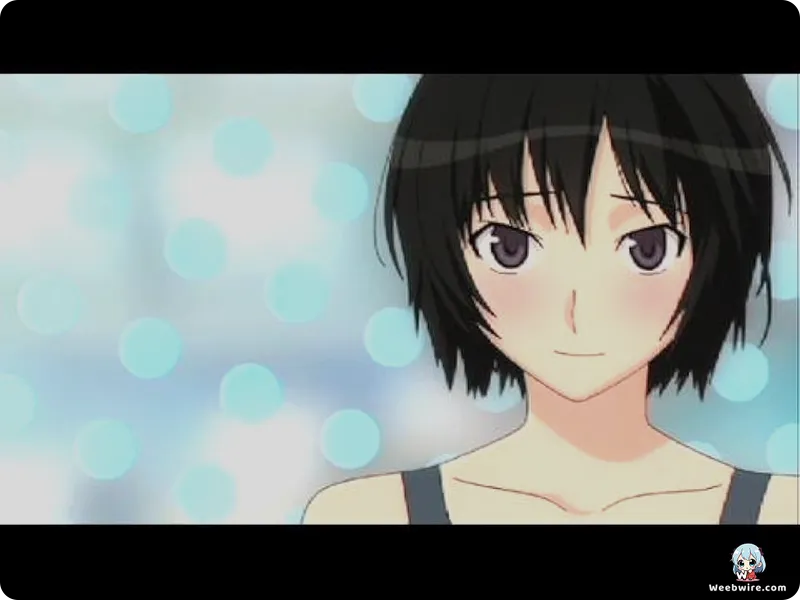 Amagami SS's Omnibus Structure Redefined Anime Romance | Weebwire